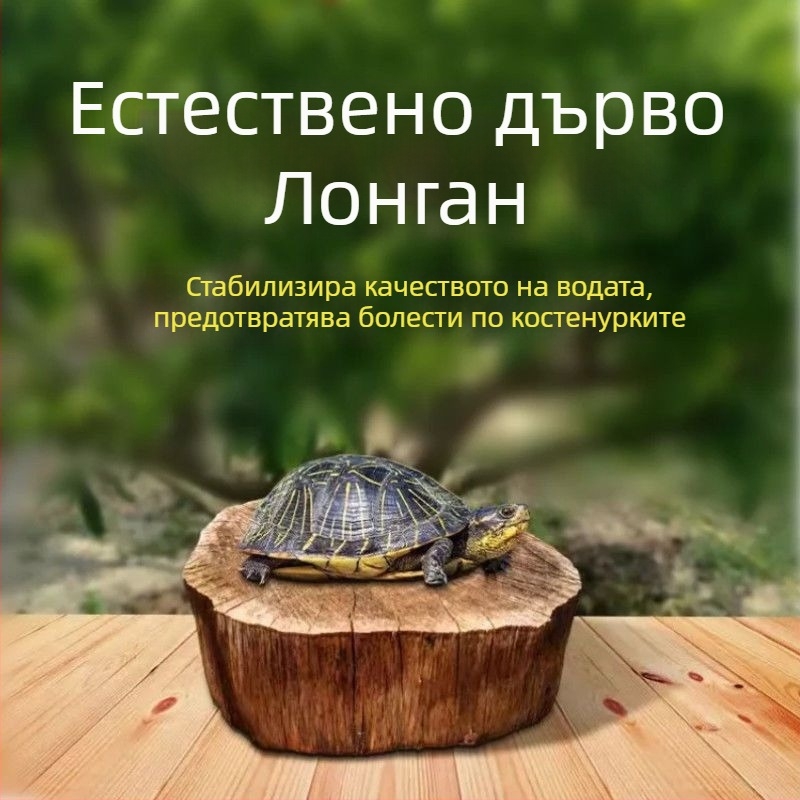 Домашен аквариум за костенурки с екологични водни растения и декоративно оформление
