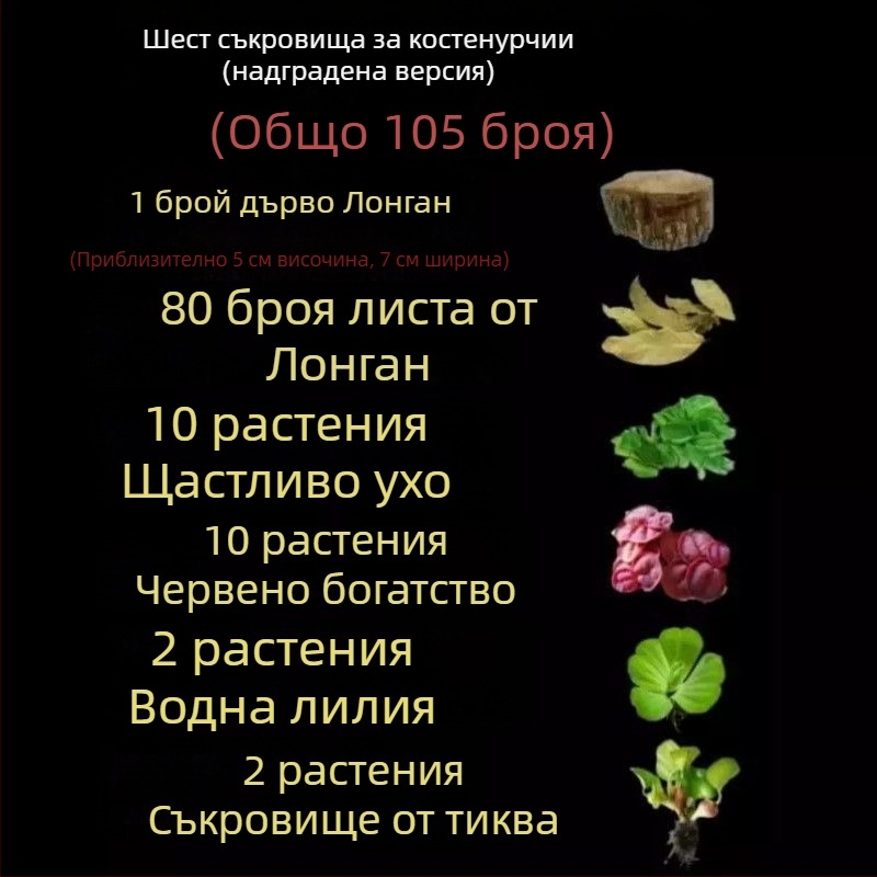 Домашен аквариум за костенурки с екологични водни растения и декоративно оформление