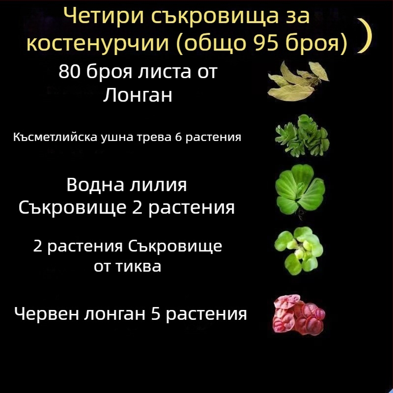 Домашен аквариум за костенурки с екологични водни растения и декоративно оформление
