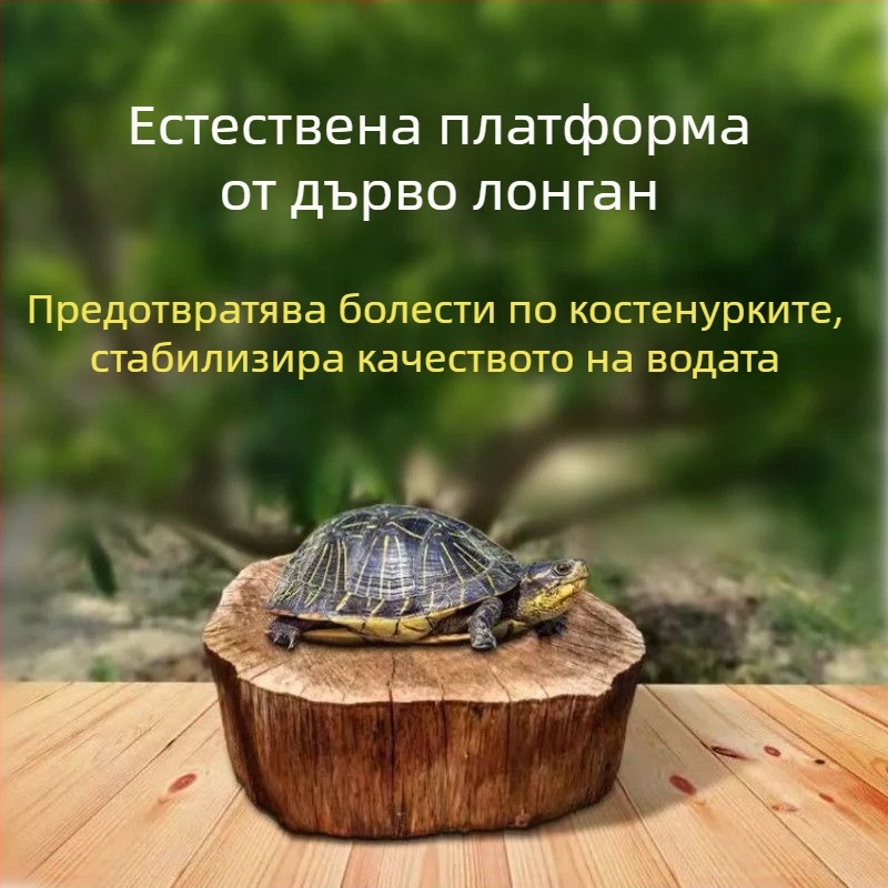 Домашен аквариум за костенурки с екологични водни растения и декоративно оформление