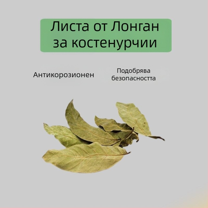 Домашен аквариум за костенурки с екологични водни растения и декоративно оформление