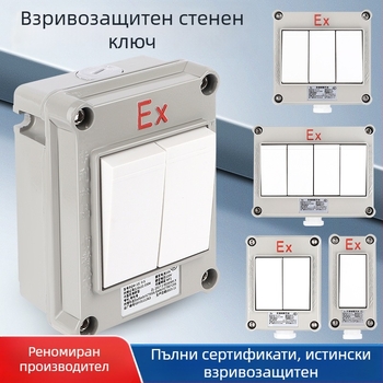 Взривозащитен стенен превключвател, 220V/380V, повърхностен монтаж, въртящ се еднополюсен/двуполюсен взривозащитен прекъсвач, индустриален водоустойчив превключвател