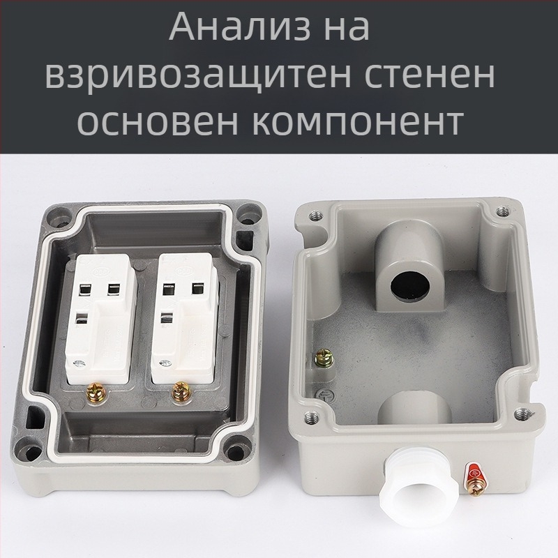 Взривозащитен стенен превключвател, 220V/380V, повърхностен монтаж, въртящ се еднополюсен/двуполюсен взривозащитен прекъсвач, индустриален водоустойчив превключвател