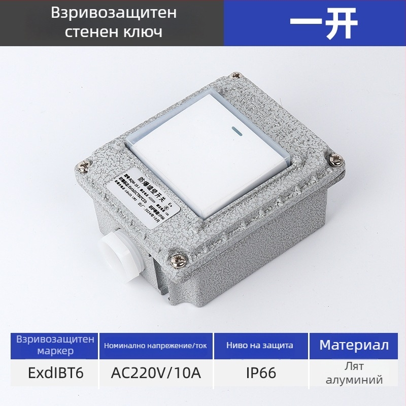 Взривозащитен стенен превключвател, 220V/380V, повърхностен монтаж, въртящ се еднополюсен/двуполюсен взривозащитен прекъсвач, индустриален водоустойчив превключвател