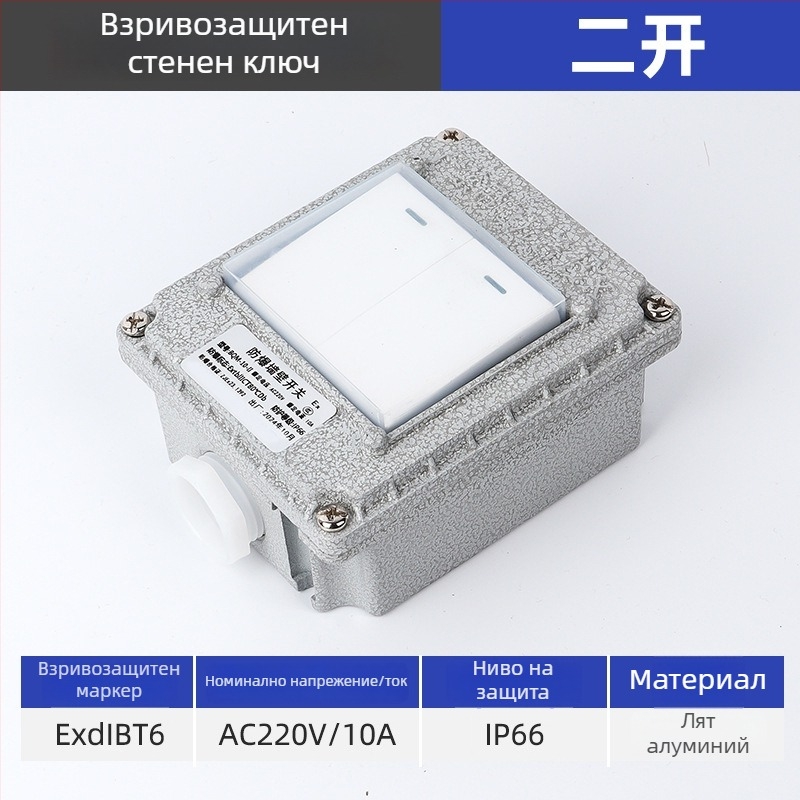Взривозащитен стенен превключвател, 220V/380V, повърхностен монтаж, въртящ се еднополюсен/двуполюсен взривозащитен прекъсвач, индустриален водоустойчив превключвател
