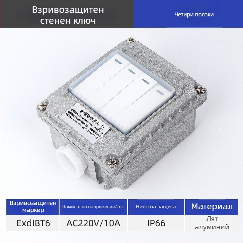 Взривозащитен стенен превключвател, 220V/380V, повърхностен монтаж, въртящ се еднополюсен/двуполюсен взривозащитен прекъсвач, индустриален водоустойчив превключвател
