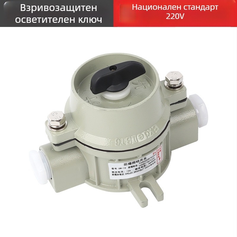 Взривозащитен стенен превключвател, 220V/380V, повърхностен монтаж, въртящ се еднополюсен/двуполюсен взривозащитен прекъсвач, индустриален водоустойчив превключвател
