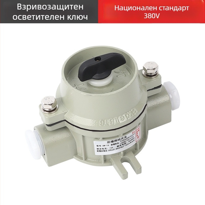 Взривозащитен стенен превключвател, 220V/380V, повърхностен монтаж, въртящ се еднополюсен/двуполюсен взривозащитен прекъсвач, индустриален водоустойчив превключвател
