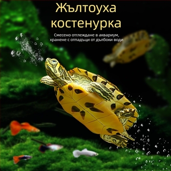 Аквариумен почиствач за костенурка с жълти уши, премахване на водорасли и отпадъци, за студена вода, жив костенурка