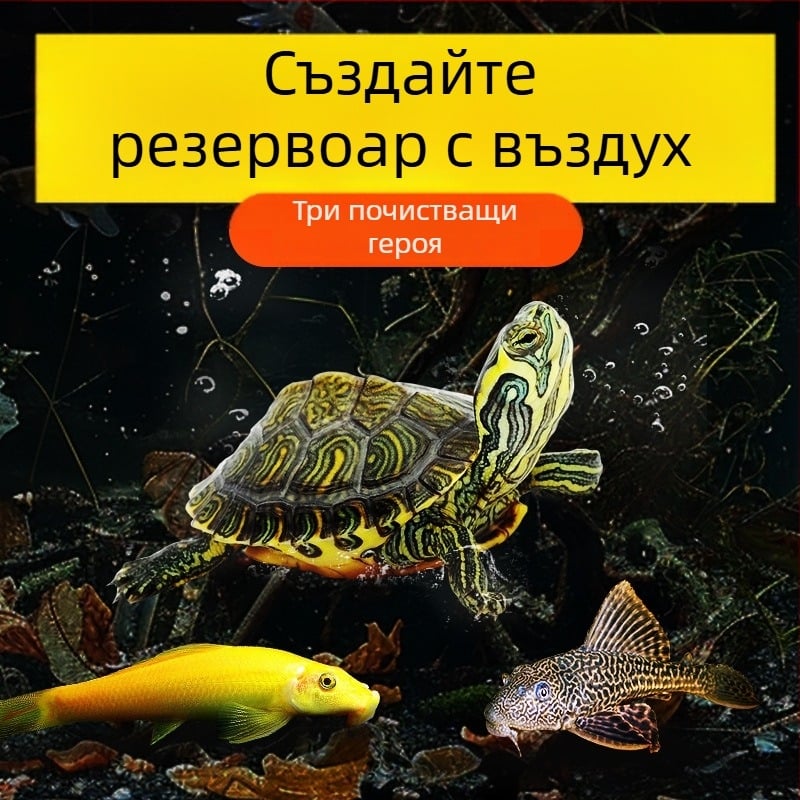 Аквариумен почиствач за костенурка с жълти уши, премахване на водорасли и отпадъци, за студена вода, жив костенурка