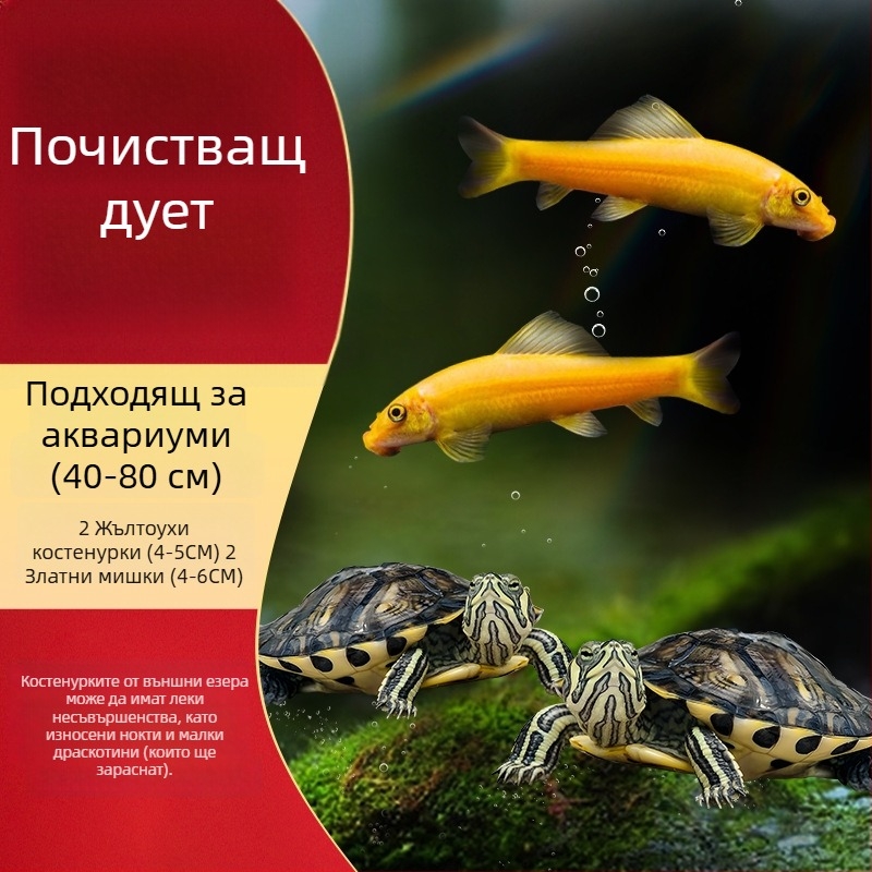 Аквариумен почиствач за костенурка с жълти уши, премахване на водорасли и отпадъци, за студена вода, жив костенурка