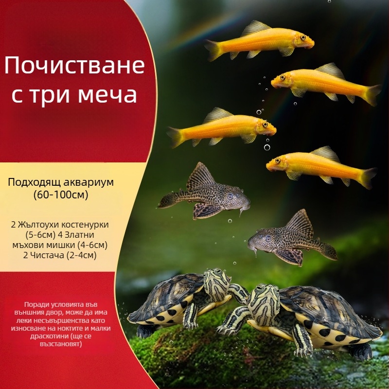 Аквариумен почиствач за костенурка с жълти уши, премахване на водорасли и отпадъци, за студена вода, жив костенурка