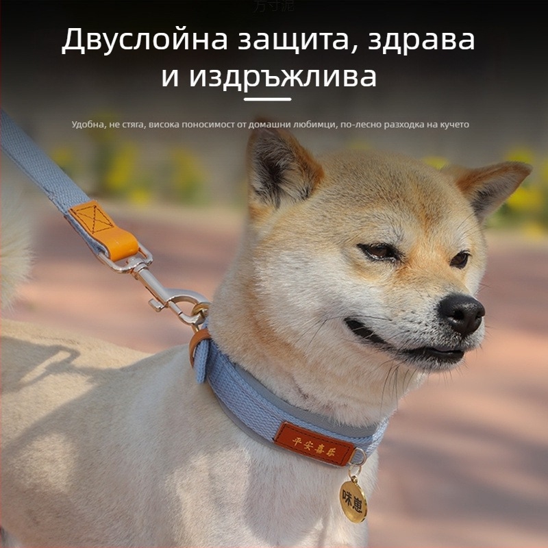 Нашийник за кучета за средни и големи породи, идентификационна табелка и повод, стил корги