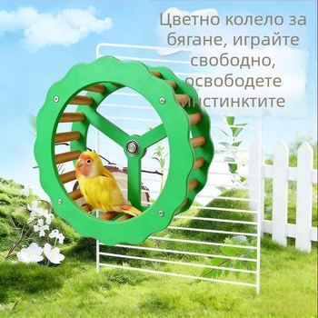 Въртящо се колело за малки домашни любимци – играчка за папагали и хамстери, упражнения и облекчаване на стреса
