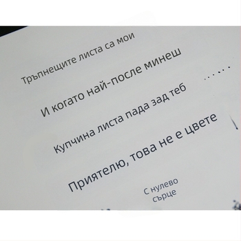Siyuan 1-Character Copybook за възрастни: практика на почерк в редовен, полукурсивен и курсивен стил с твърда писалка
