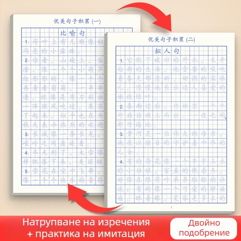 Right World Калиграфия: комплект прописи за упражнения — ежедневни красиви изречения и сборник думи за трети–шести клас