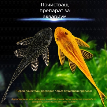 Живи почистващи риби за пресноводни аквариуми — почистват отпадъци и водорасли
