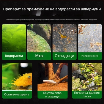 Живи почистващи риби за пресноводни аквариуми — почистват отпадъци и водорасли