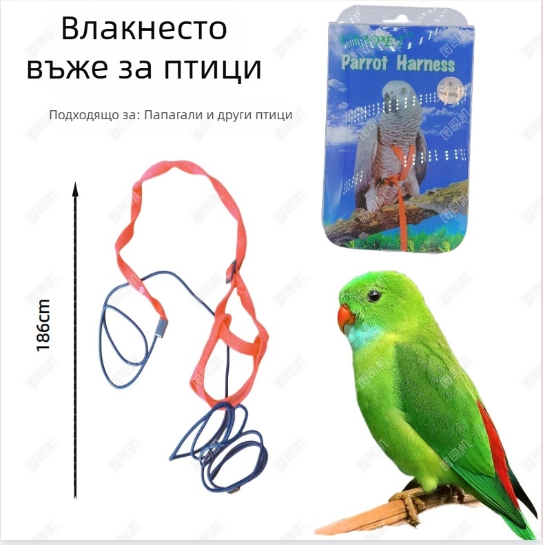Играчки за хамстер и папагал: дъвчащи играчки, гнездо за малки домашни любимци и луфа