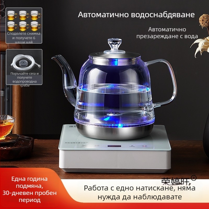 Всичко в едно: електрически чайник с контрол на температурата и стъклена водна кана (1 л)