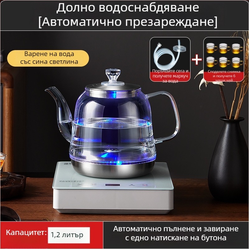 Всичко в едно: електрически чайник с контрол на температурата и стъклена водна кана (1 л)