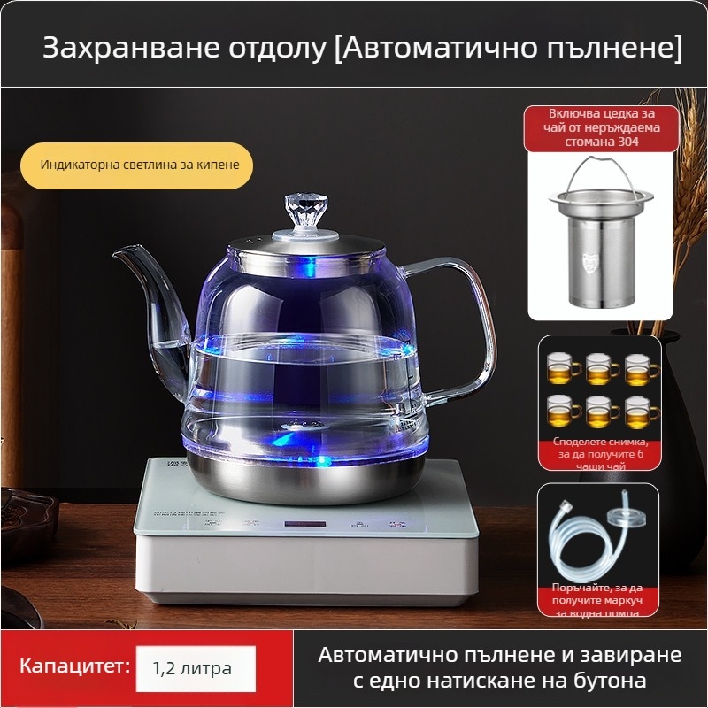 Всичко в едно: електрически чайник с контрол на температурата и стъклена водна кана (1 л)