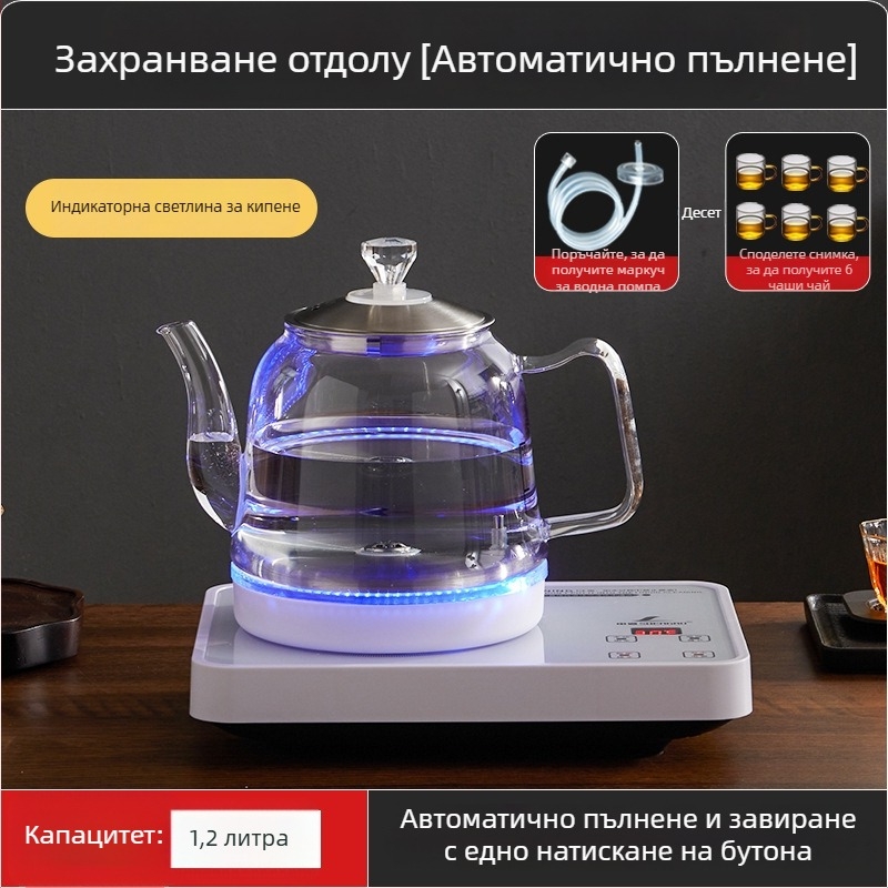 Всичко в едно: електрически чайник с контрол на температурата и стъклена водна кана (1 л)