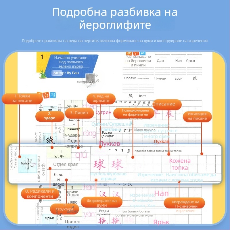Учебник по калиграфия: упражнения за писане за 1–2 клас (първи семестър) и 3–5 клас (пълен годишен курс)