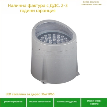 Cree LED прожектор за миене на фасадата с регулируем лъч и външен корпус (монтаж на повърхност или скрит монтаж)