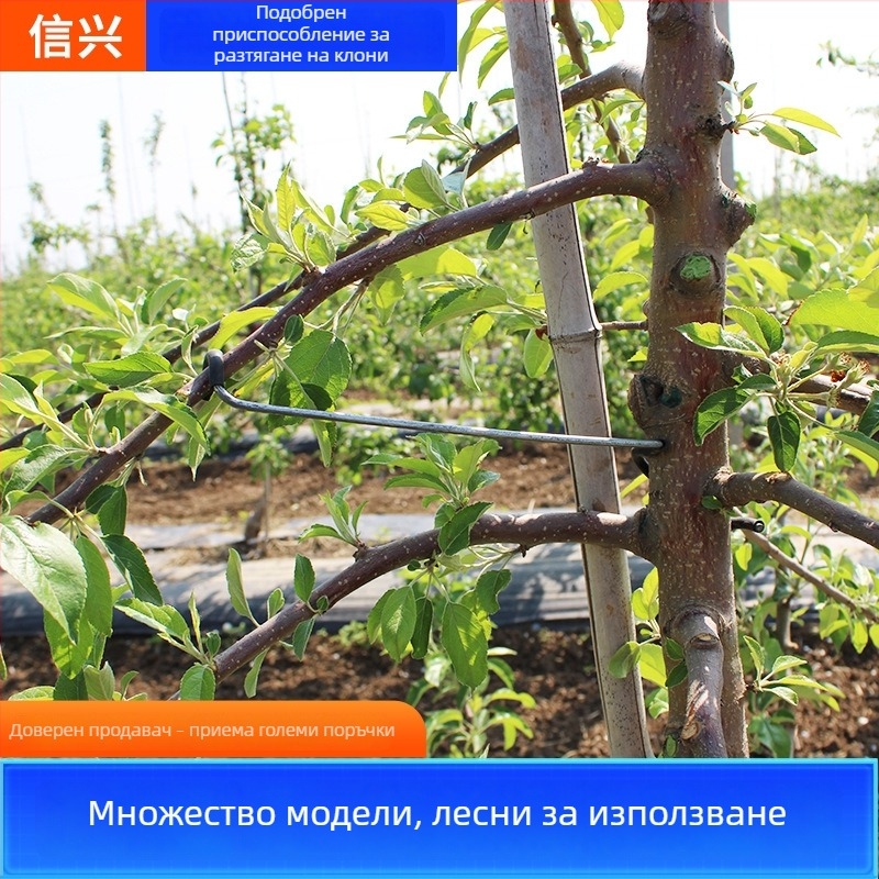 Инструмент за плодови дървета: издърпване и оформяне на клоните, подобрен изправител за извити клонки, кука за клонове и държач за дърво