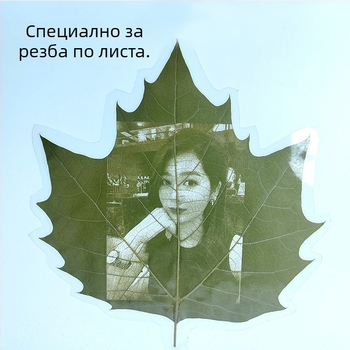 Wutong листа за лазерно гравиране и резба по листа – сушени естествени листа, материал за ръчна изработка