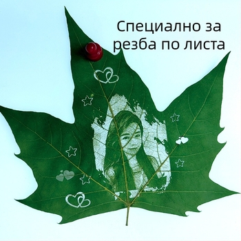 Wutong листа за лазерно гравиране и резба по листа – сушени естествени листа, материал за ръчна изработка