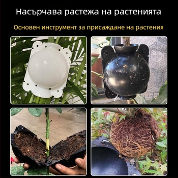 Кутия за високо налягане за растения — размножаване, присаждане и вкореняване; размножителна топка за градина и плодни дървета