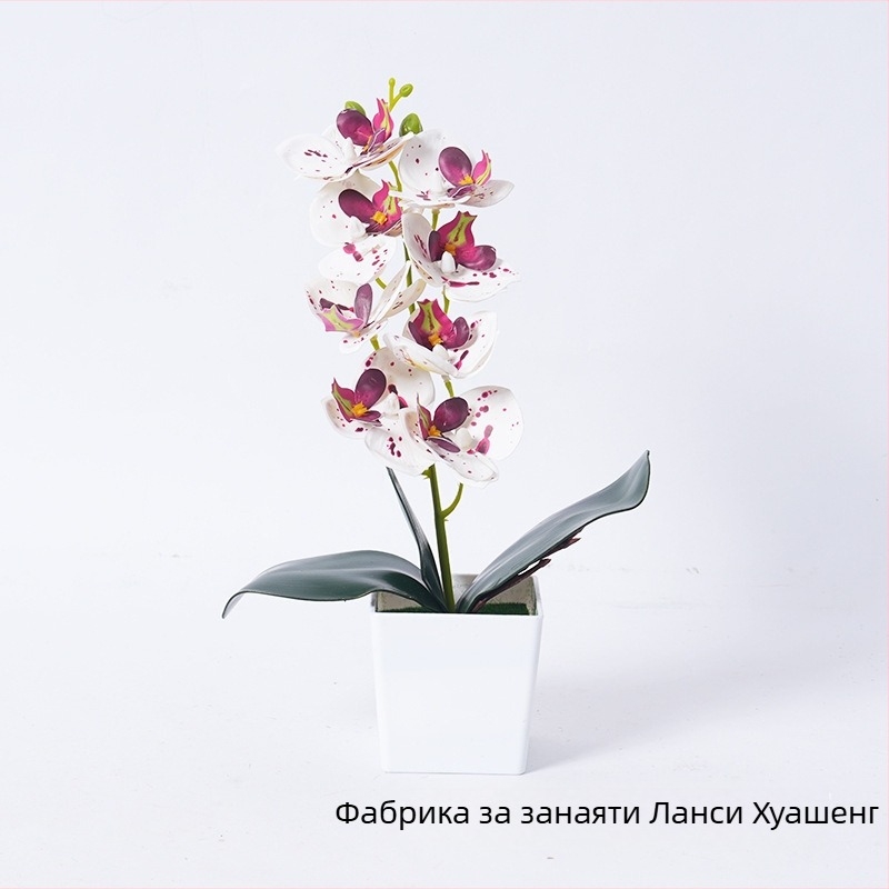 Изкуствена орхидея фаленопсис в саксия — черно-бяла за дома и офиса