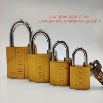 Type C заключалка за сигурност от сплав стомана, полиран медно-имитационен финиш, общо предназначение