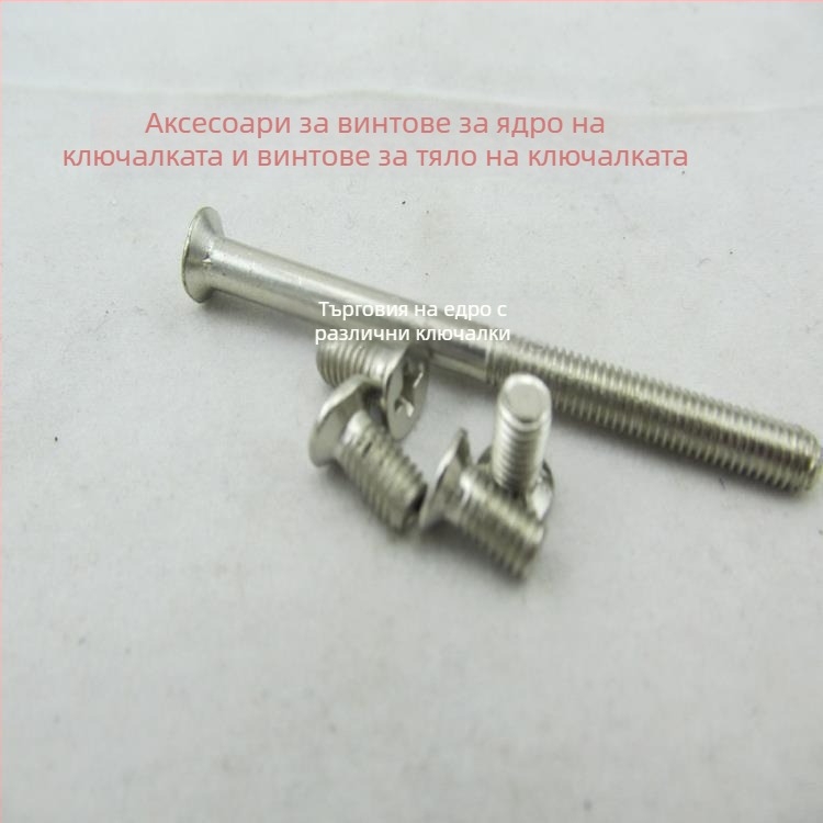 Фиксиращ винт за корпус на ключалката и винт за цилиндър – монтажни части за заключване