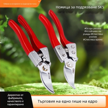 Градинарски ножици за подрязване: за клони, цветя и плодни дървета