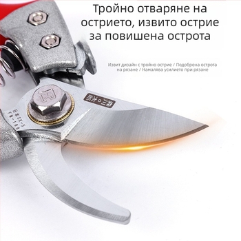 Градинарски ножици за подрязване: за клони, цветя и плодни дървета