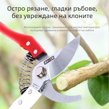 Градинарски ножици за подрязване: за клони, цветя и плодни дървета