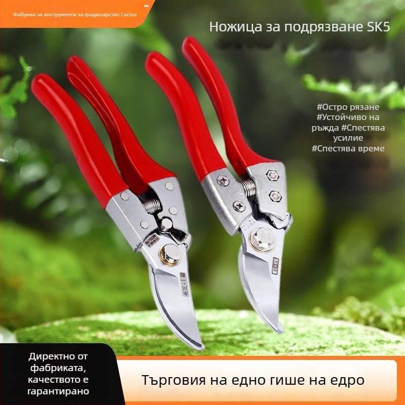 Градинарски ножици за подрязване: за клони, цветя и плодни дървета