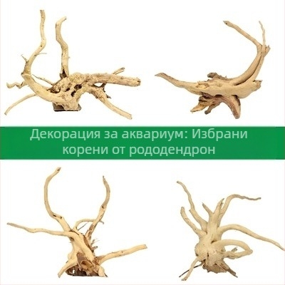 Комплект за аквариумно ландшафтно оформление: дрейф дърво, корен азалия, мъх и водни растения