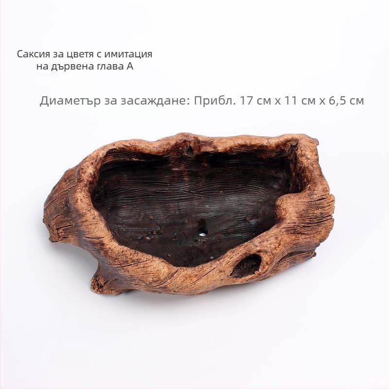 Циментена саксия с коренов декоративен дизайн за сукуленти, подходяща за бюро или под