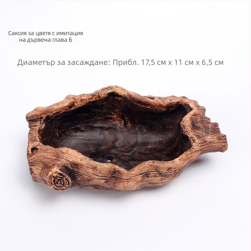 Циментена саксия с коренов декоративен дизайн за сукуленти, подходяща за бюро или под