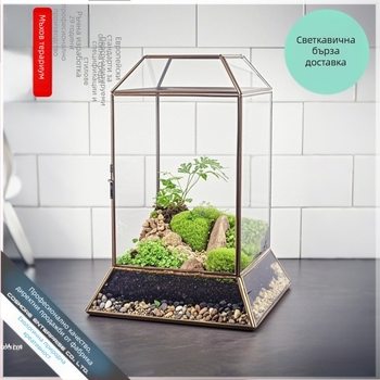 Мъхов микро-ландшафт в стъклен купол със живи зелени растения, DIY джунгла, декоративно миниатюрно растение