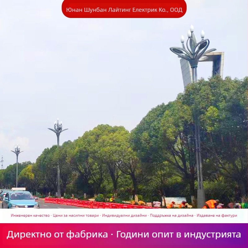 Magnolia лампа за пътно осветление — 10 м ландшафтно осветление, Magnolia улична лампа 8 м, 12 м висок стълб за градски площад