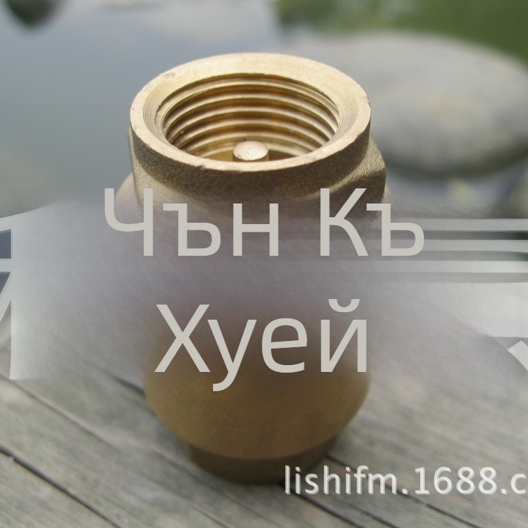 Месингов вертикален пружинен обратен клапан за водоснабдяване, плунжерен тип, еднопосочен, преди водомер