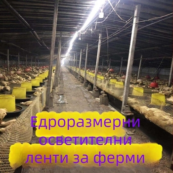 LED лента, ниско напрежение 24–36 V, външно осветление за тунели, гаражи и подземни обекти, дължина 100 m