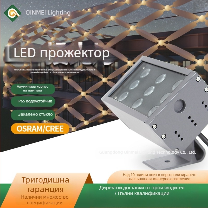 LED външна прожекторна светлина, правоъгълна за монтаж на покрив и фасада, водоустойчива