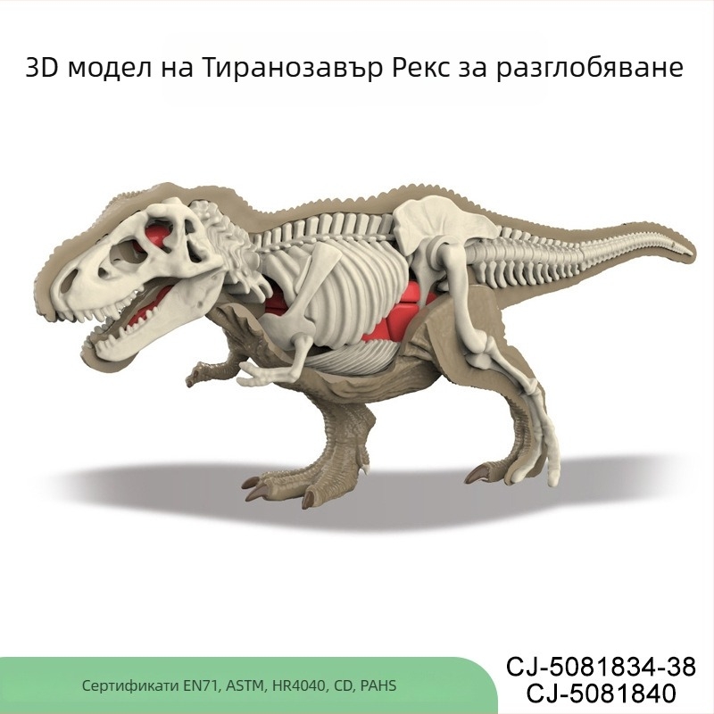 Динозавърски фосил образователна играчка за деца — DIY сглобяем скелет и анатомия на животните за науката