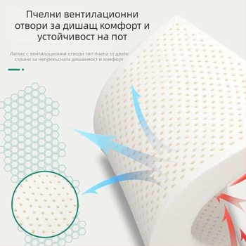 Латексна възглавница правоъгълна с ядро, подаръчна кутия; за възрастни; височина 5–10 см; тегло 0,5–1,0 кг; плат: измит памук; латекс: синтетичен; подходяща за всички сезони; за всички позиции на сън.